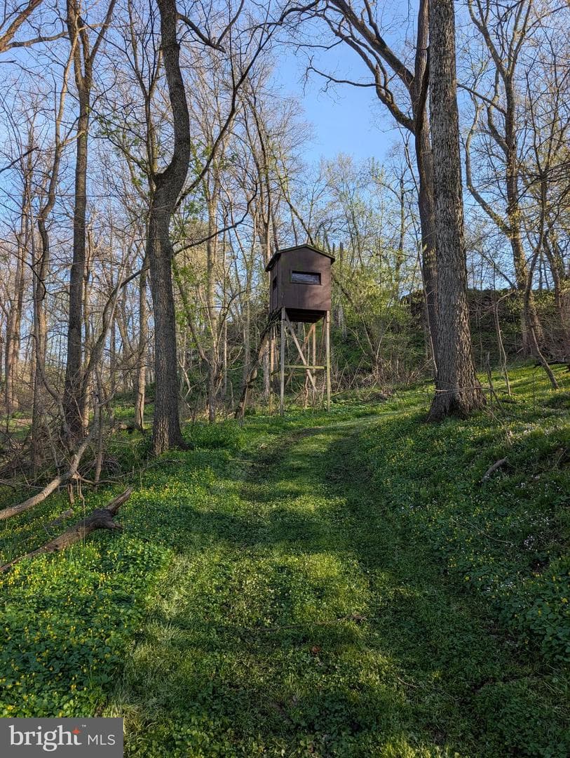 913 Stehman Road photo 29