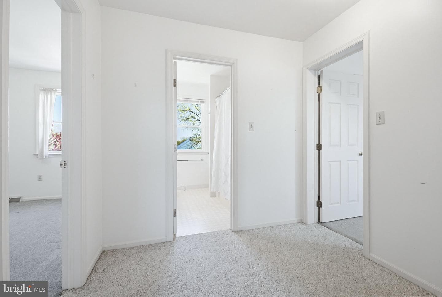 77 Rockford Road photo 16