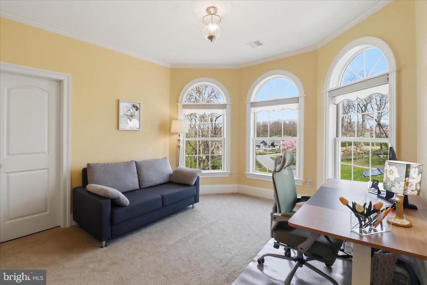 17 Hershey Lane photo 68