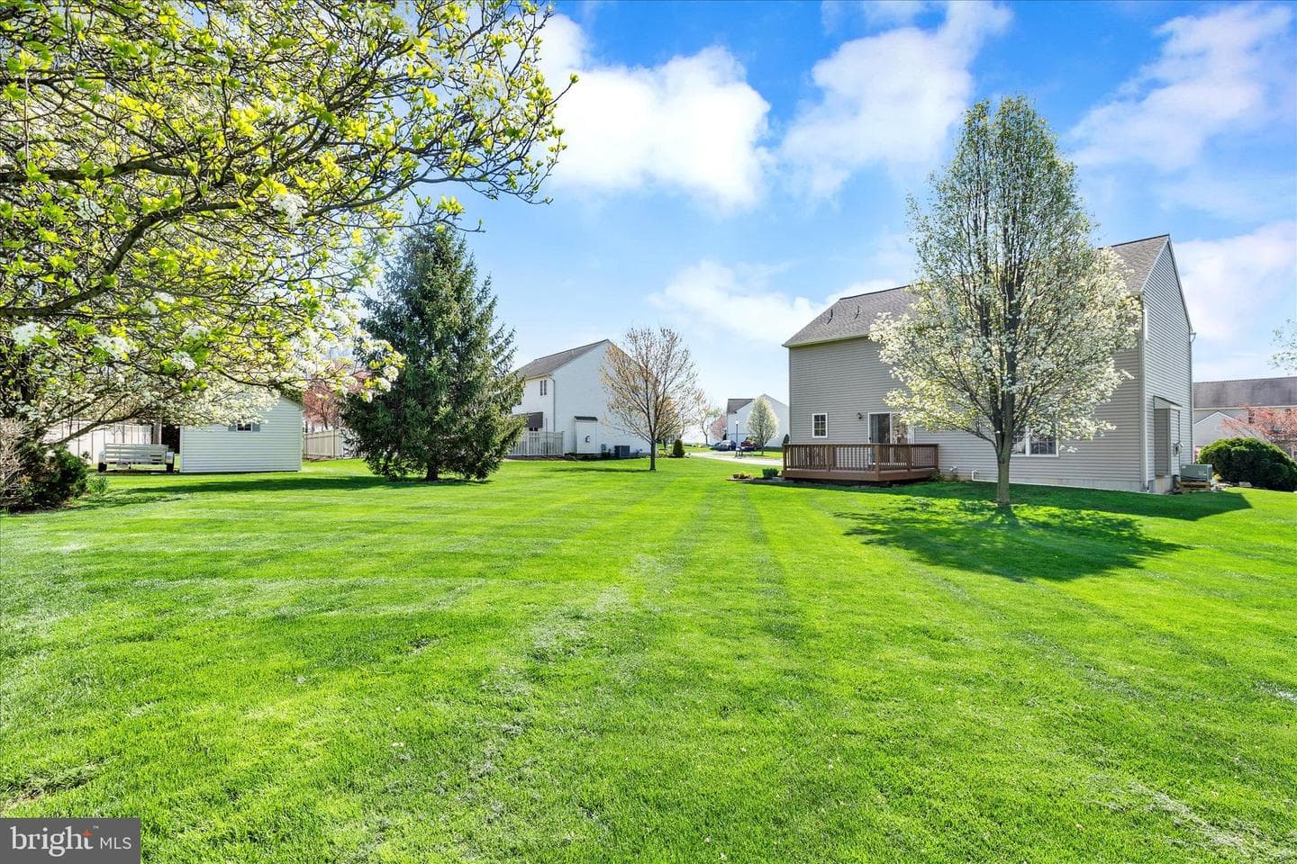 113 Hillcrest Road photo 27