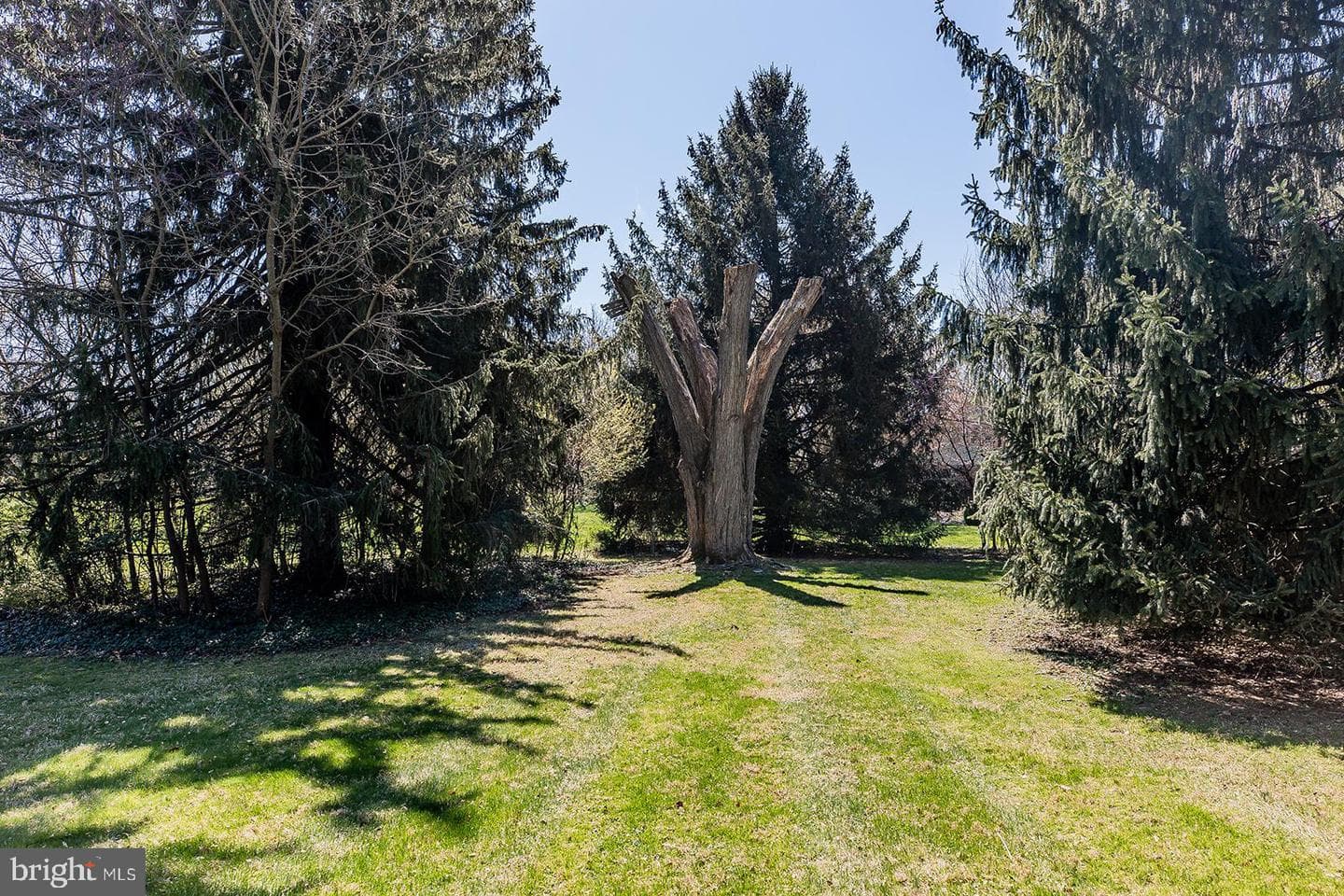 120 W Third Avenue photo 82