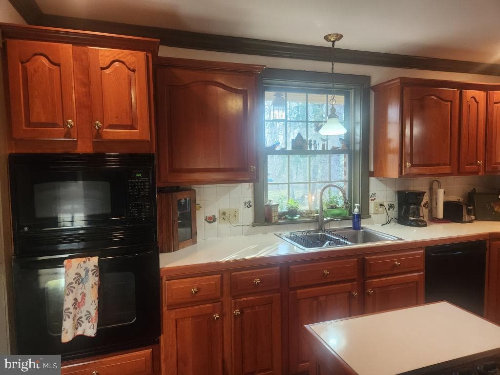 827 Hornig Road photo 14