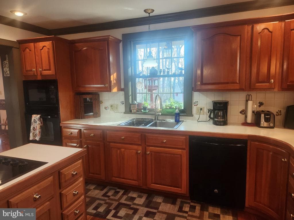 827 Hornig Road photo 21