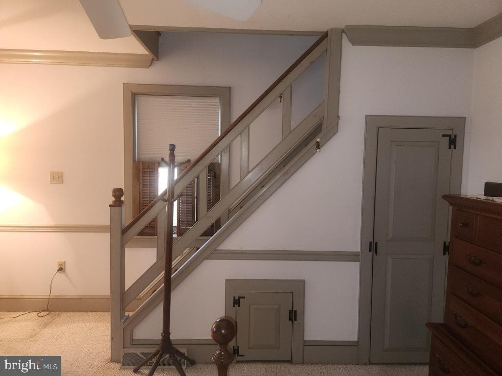 827 Hornig Road photo 28
