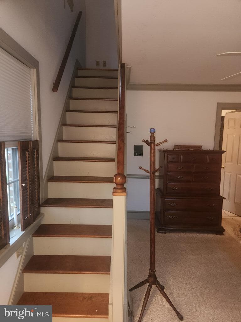 827 Hornig Road photo 29