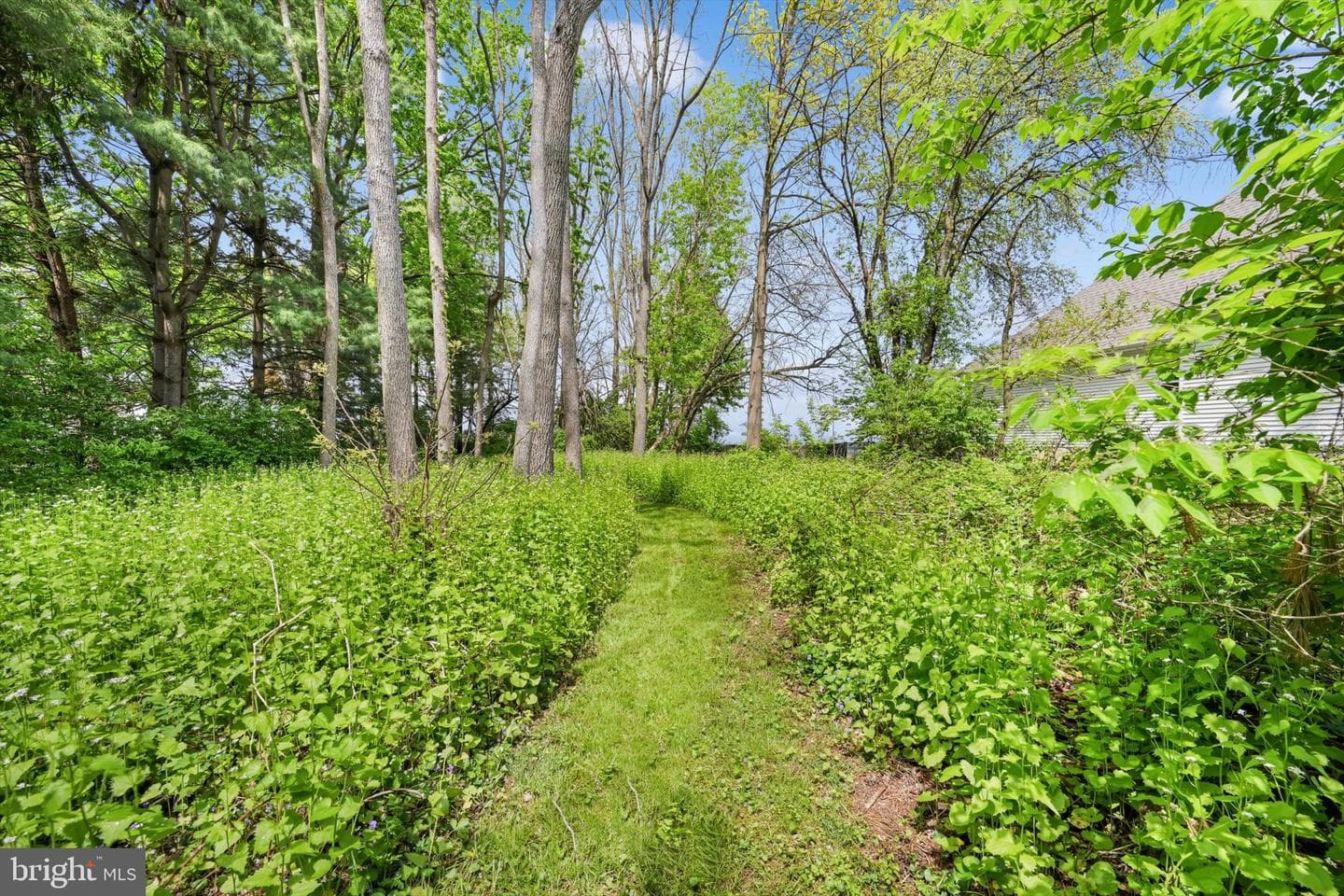 1523 Village Road photo 41