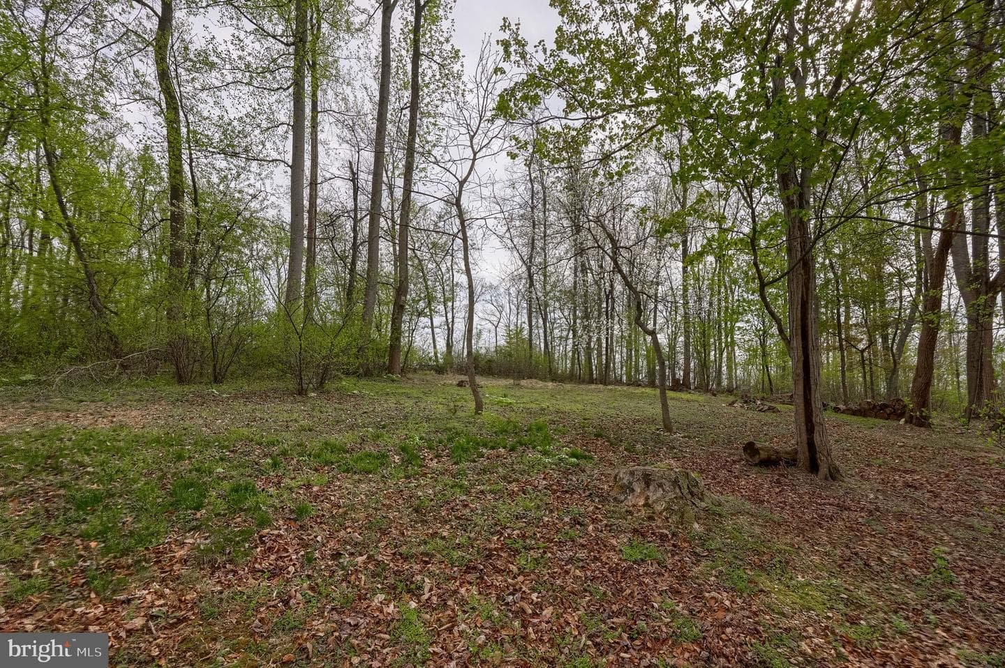 171 Fox Hollow Road photo 18