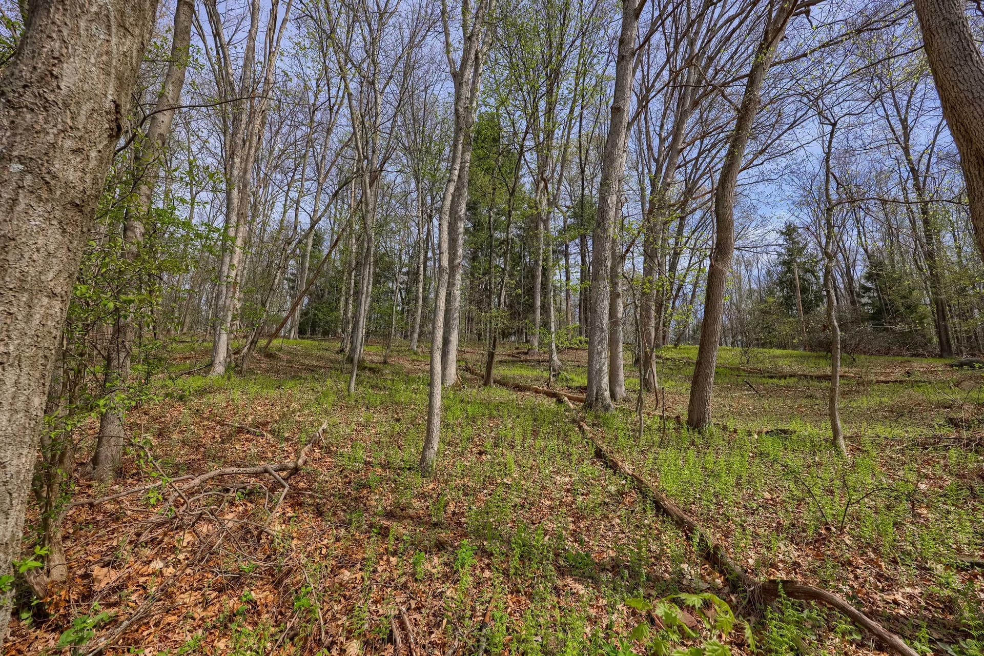 2225 Lake Drive photo 9