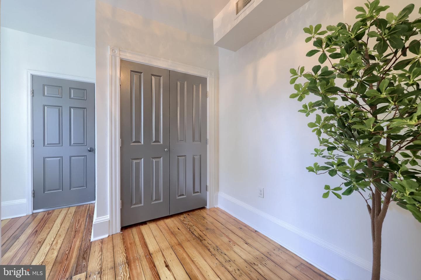 120 S Ann Street photo 22