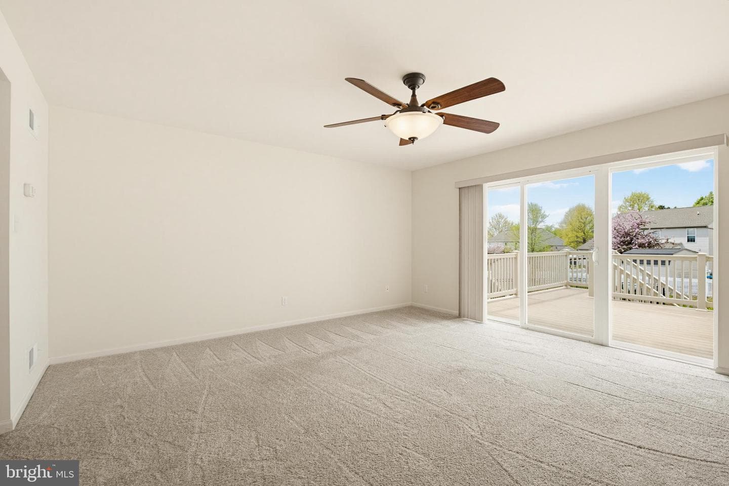 142 Beech Street photo 18