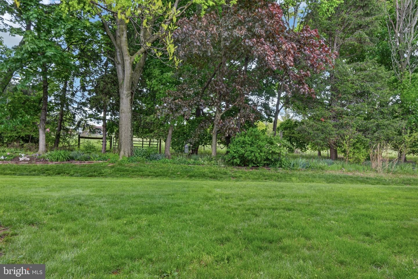 237 Black Oak Drive photo 29