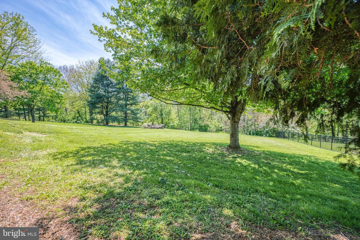 344 W Charlotte Street photo 49