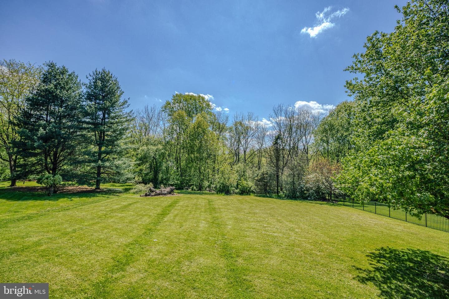 344 W Charlotte Street photo 50