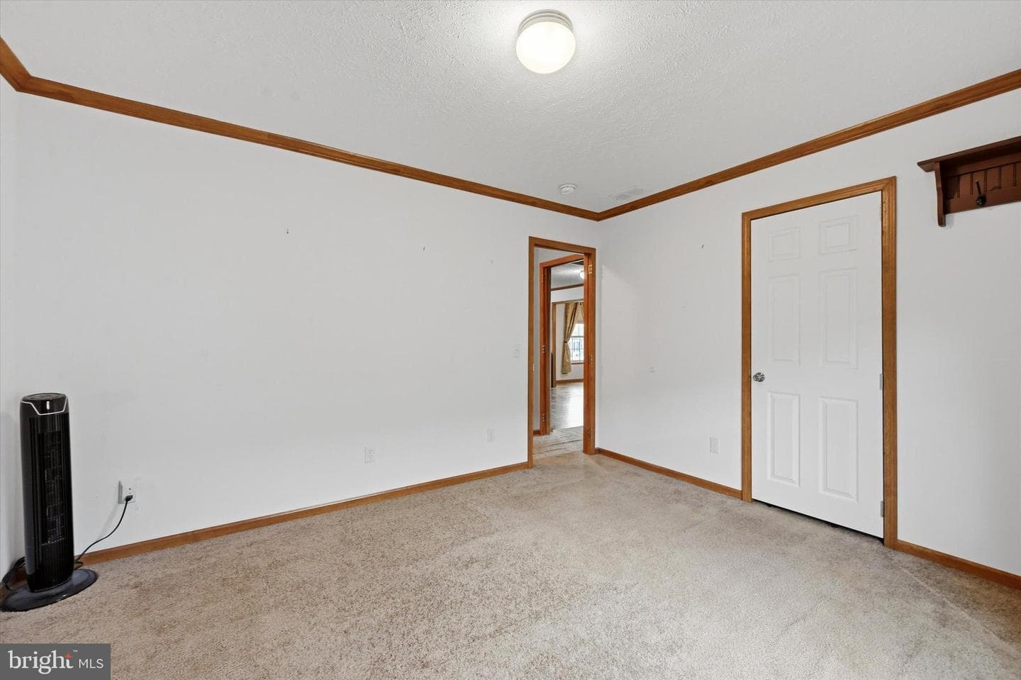 47 Makenna Avenue photo 14