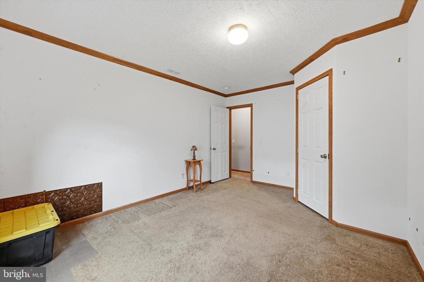 47 Makenna Avenue photo 16