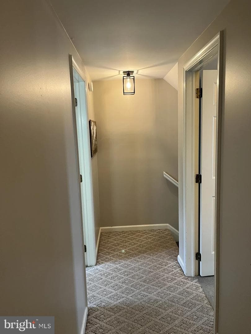 213 Tobacco Road photo 20