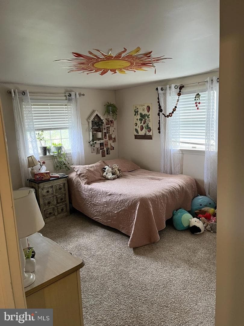 213 Tobacco Road photo 21
