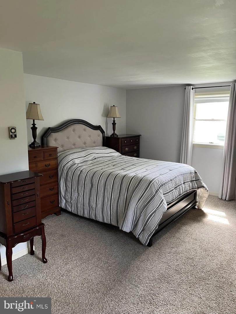213 Tobacco Road photo 23