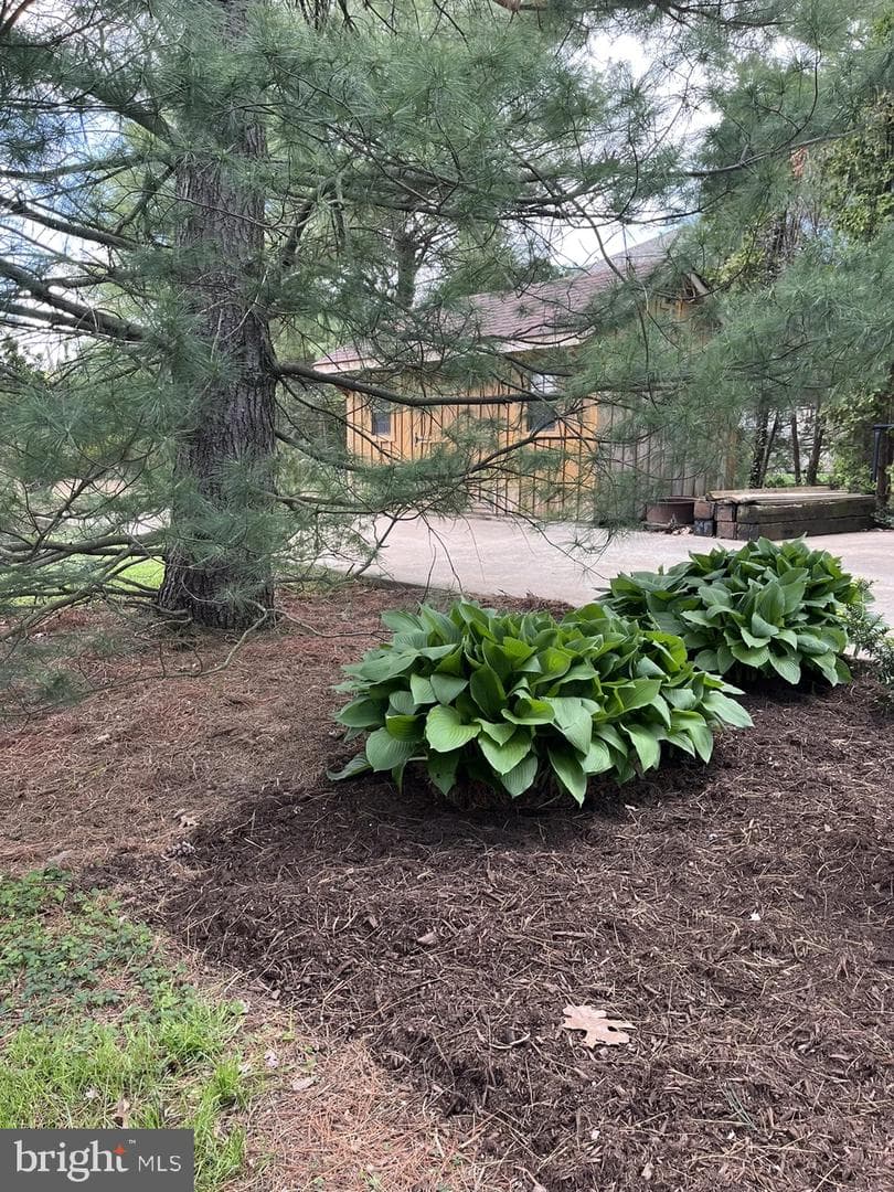 213 Tobacco Road photo 51