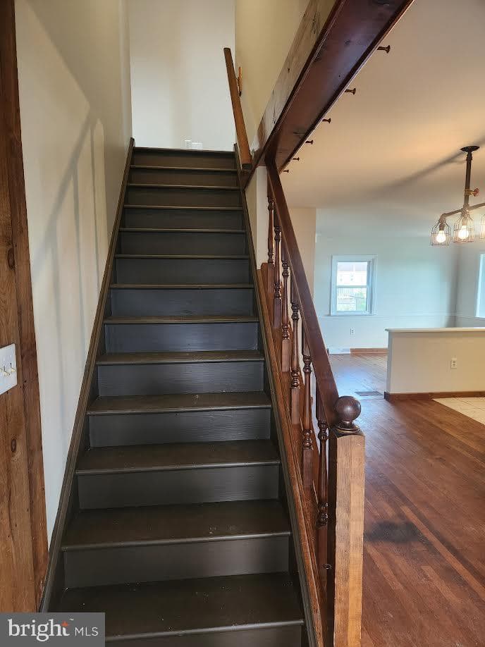 827 Disston View Drive photo 35