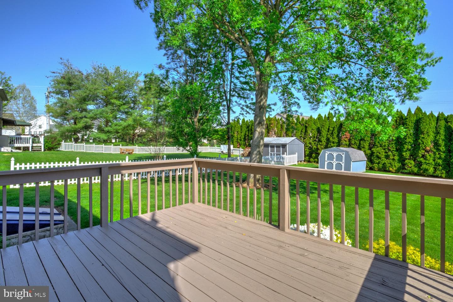 706 Rosemont Drive photo 11