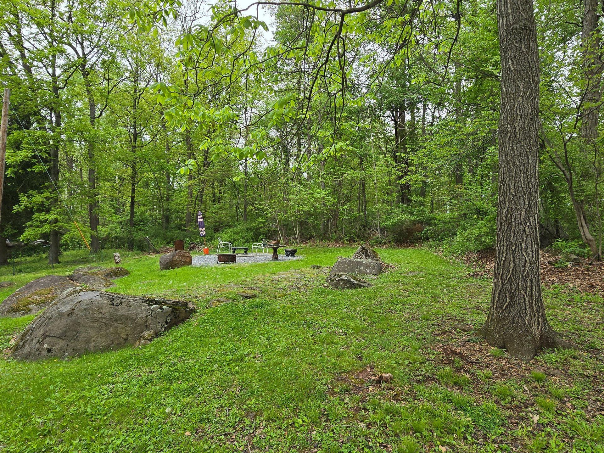 692 Cassell Road photo 26