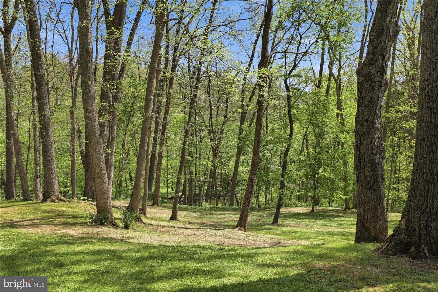 259 Ironstone Ridge Road photo 101