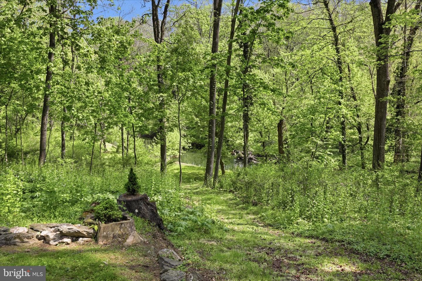 259 Ironstone Ridge Road photo 102