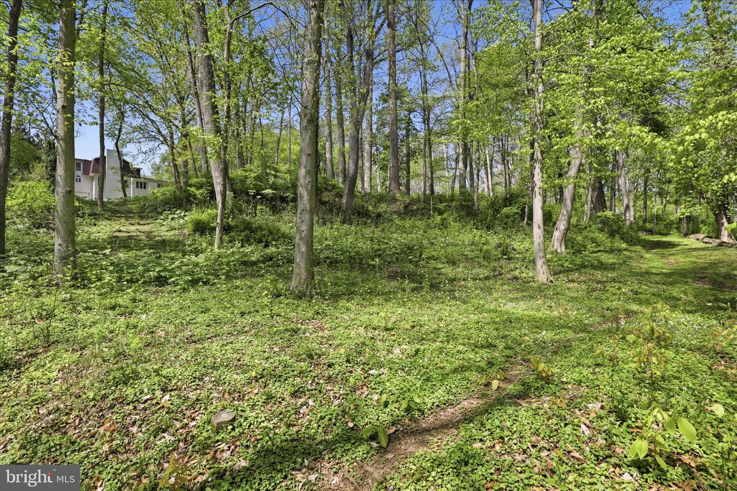 259 Ironstone Ridge Road photo 106