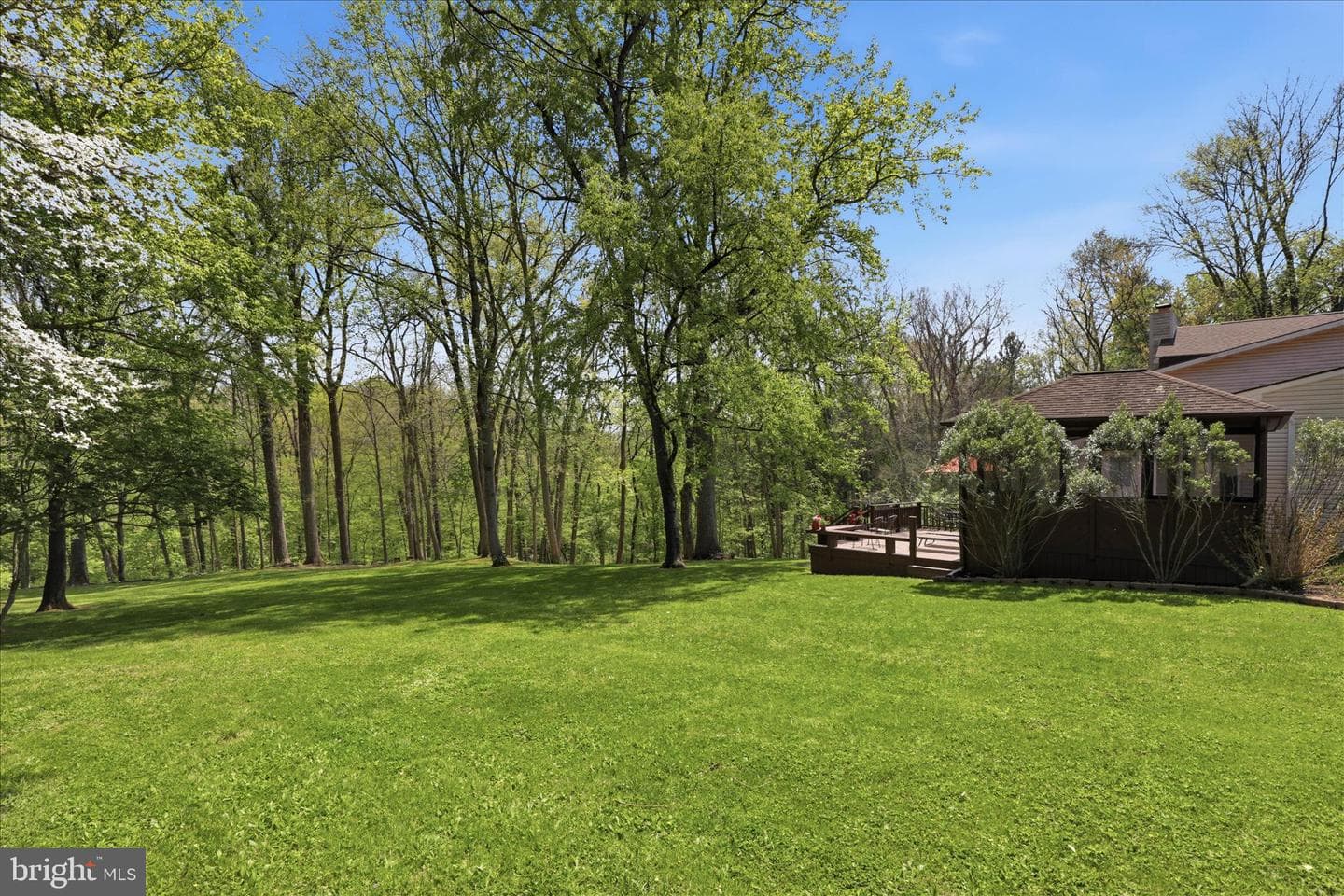 259 Ironstone Ridge Road photo 96