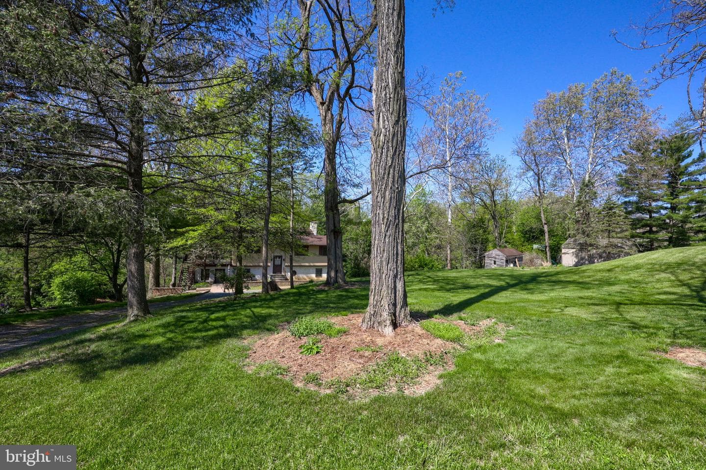 242 Skyview Lane photo 5