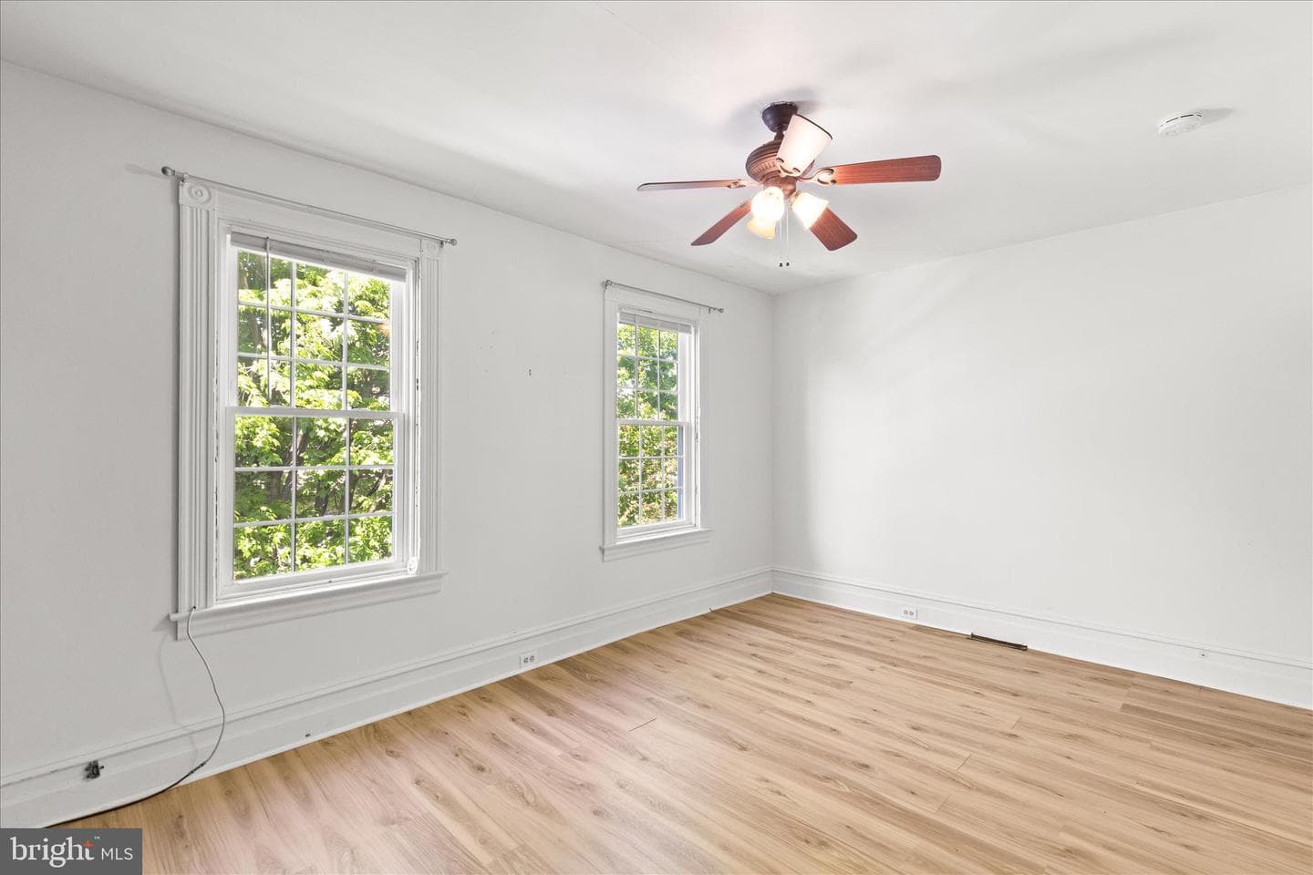 111 Pearl Street photo 19