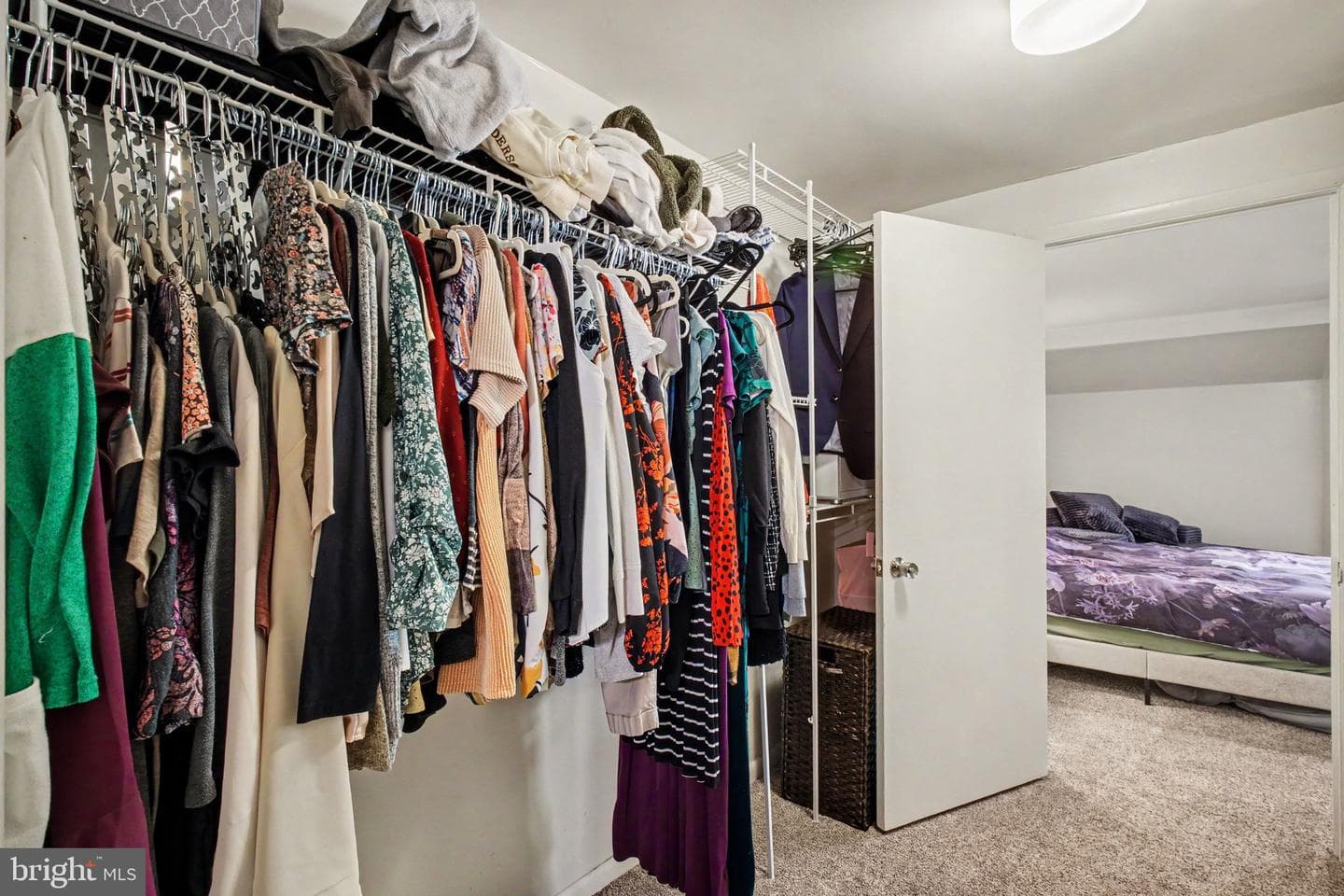 25 Beechtree Lane photo 25