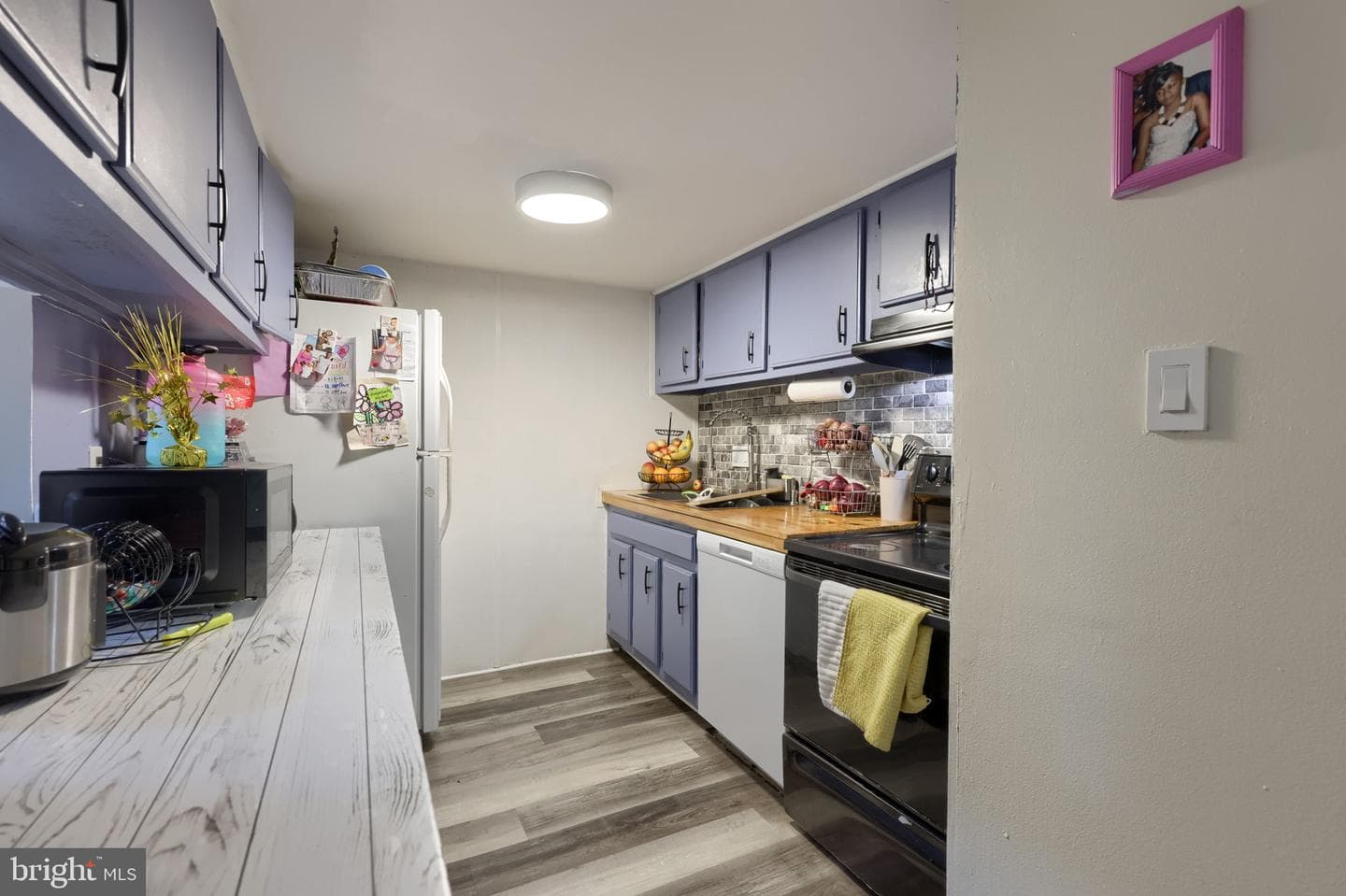 1309 Blue Jay Drive photo 13