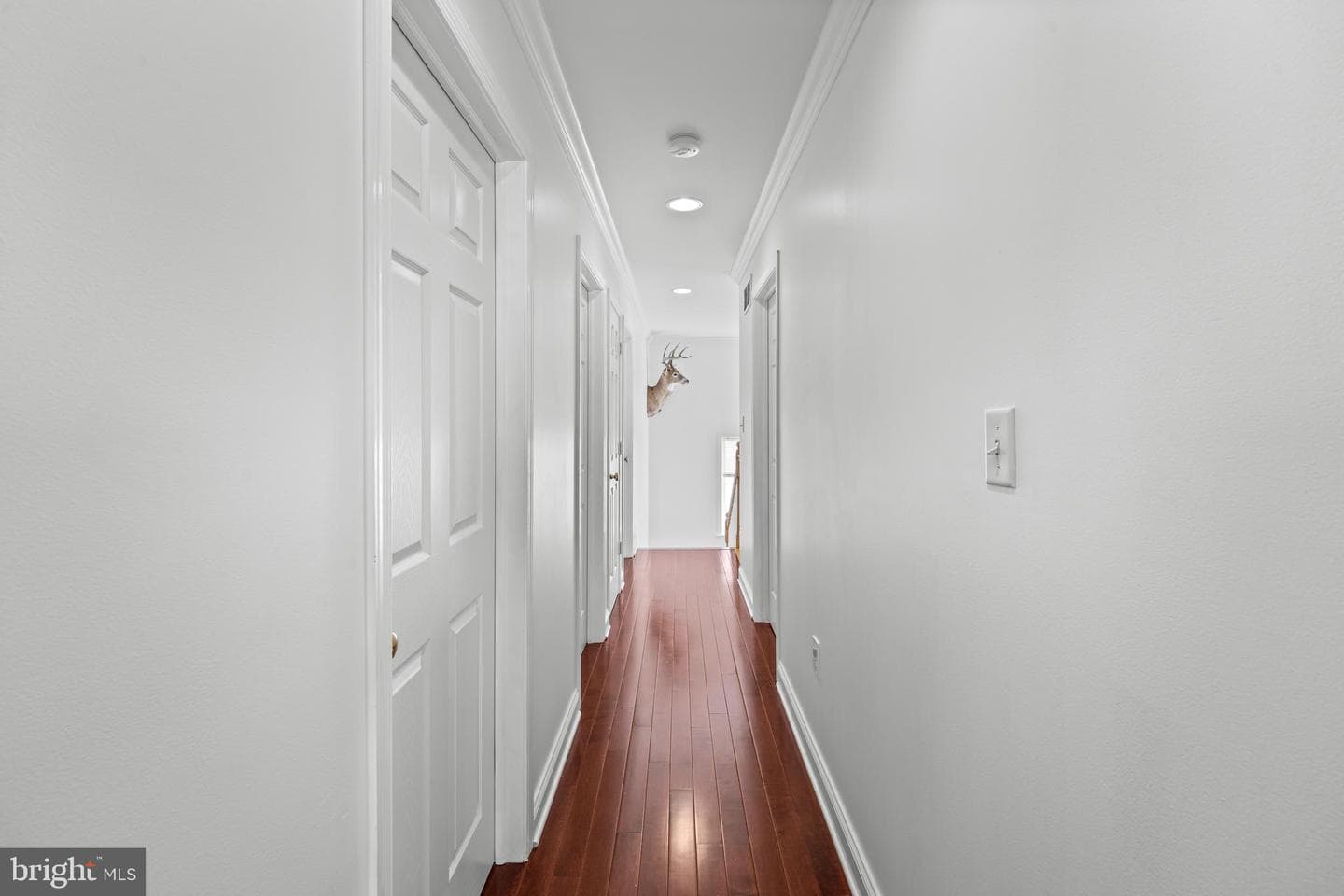 271 Squire Ln photo 19