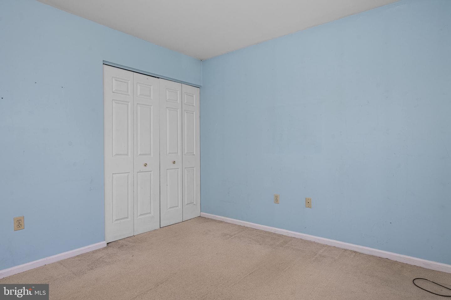 229 Black Horse Drive photo 11