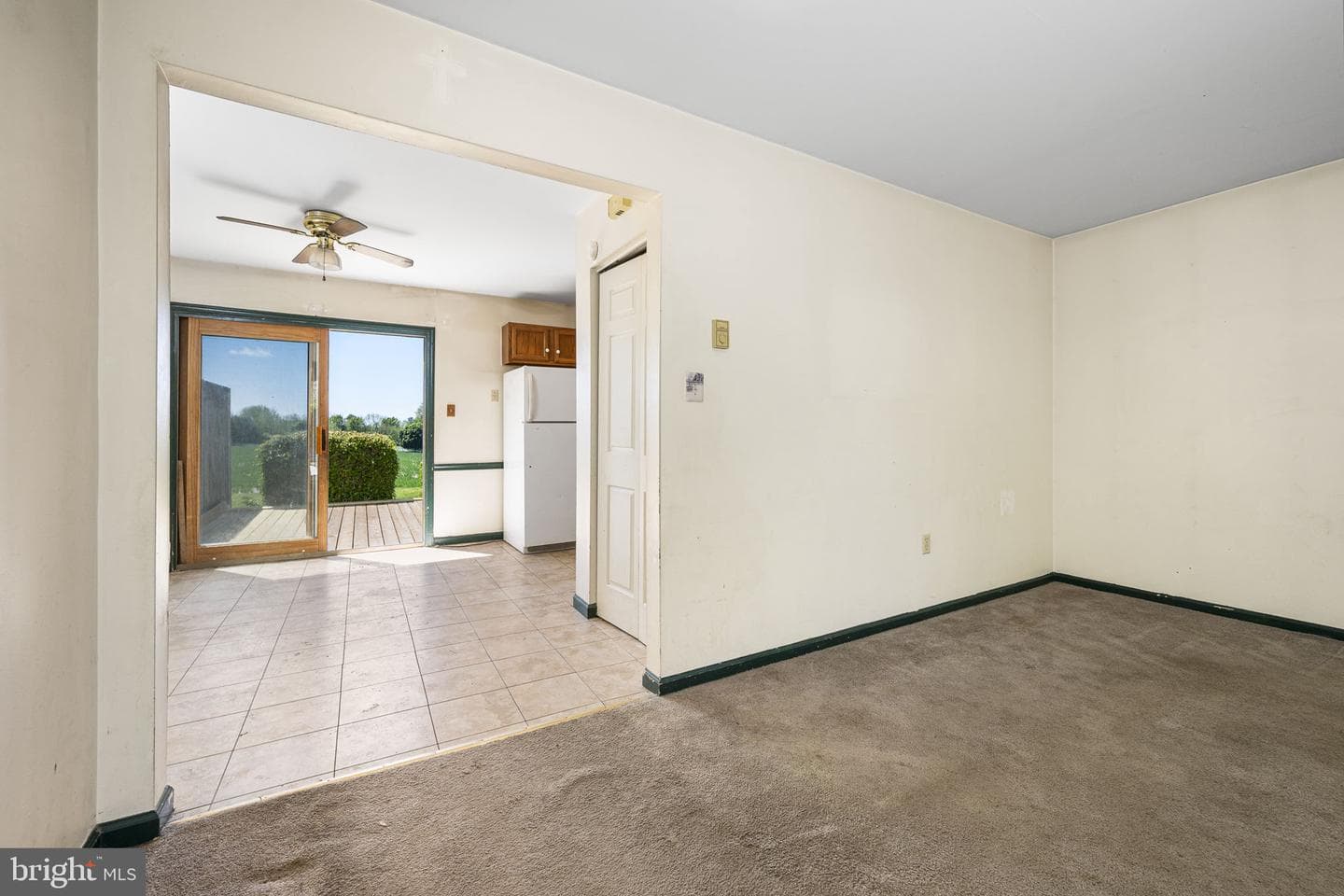 229 Black Horse Drive photo 5