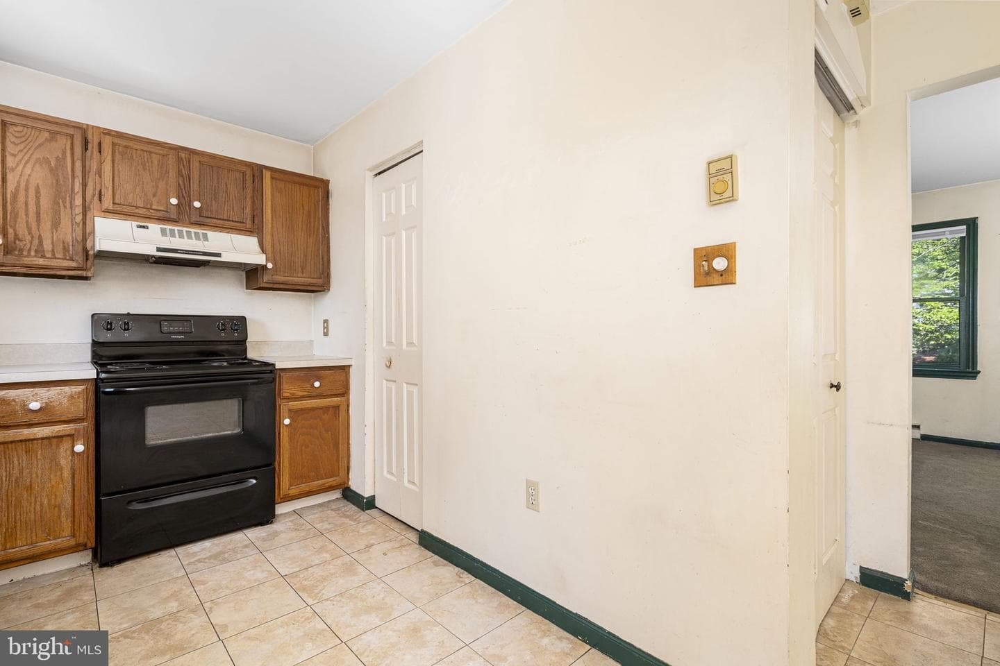 229 Black Horse Drive photo 8