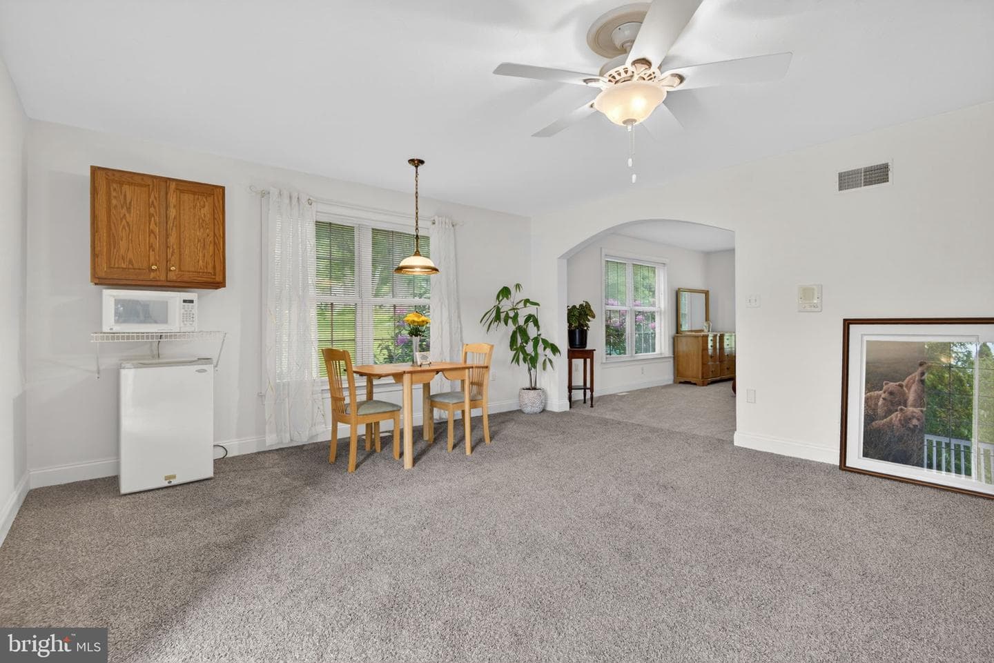 501 Bald Eagle Court photo 28
