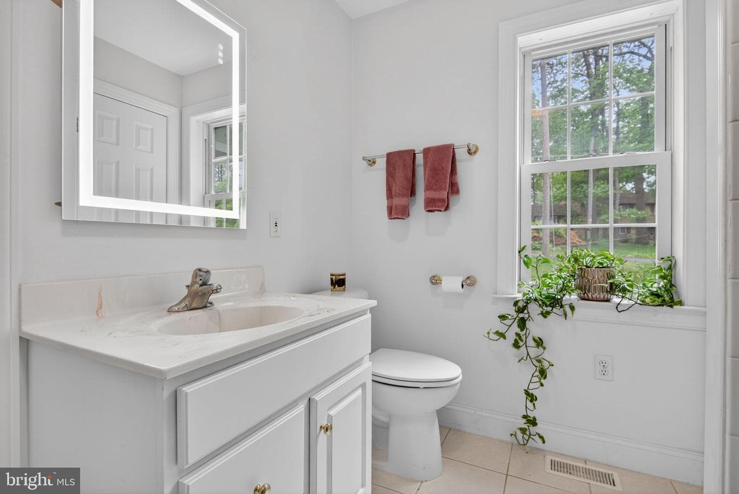 501 Bald Eagle Court photo 33