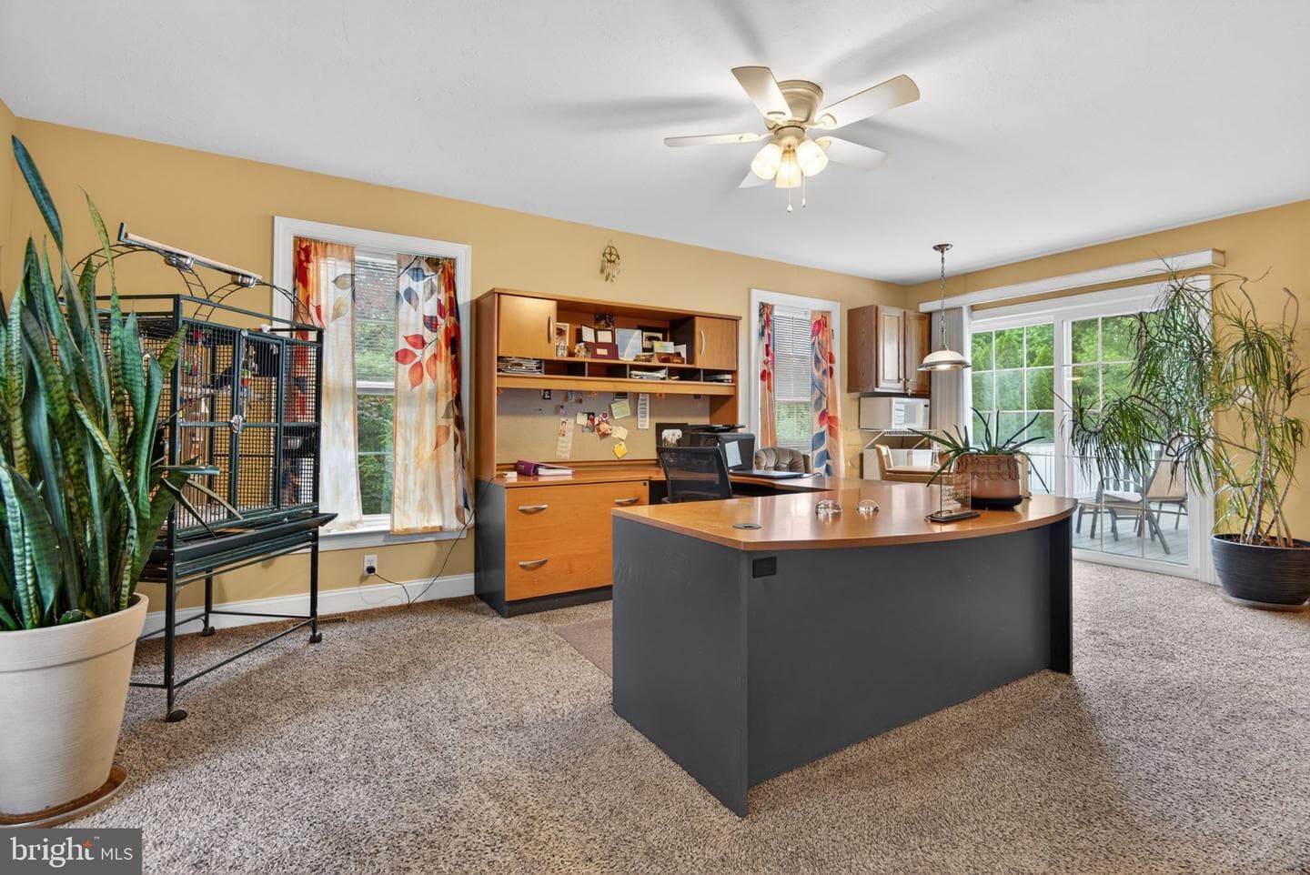 501 Bald Eagle Court photo 37