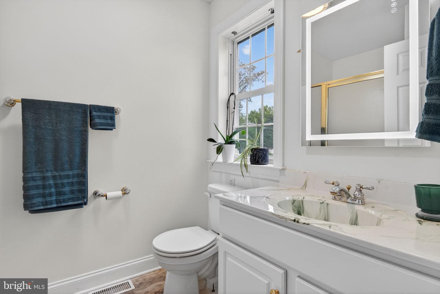 501 Bald Eagle Court photo 39