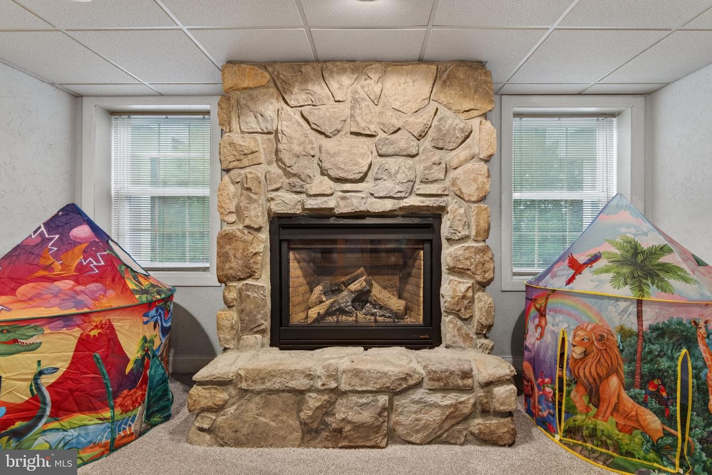 501 Bald Eagle Court photo 62