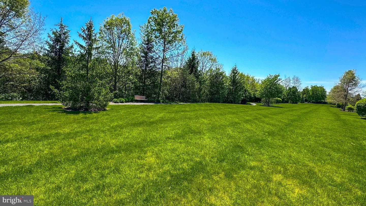 37 Grouse Drive photo 13