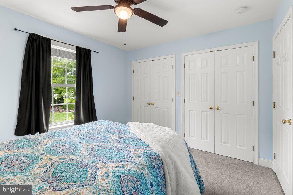 9 Homestead Drive photo 15