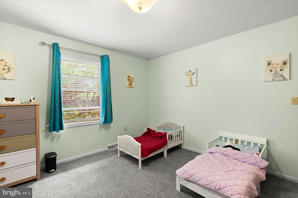 9 Homestead Drive photo 21