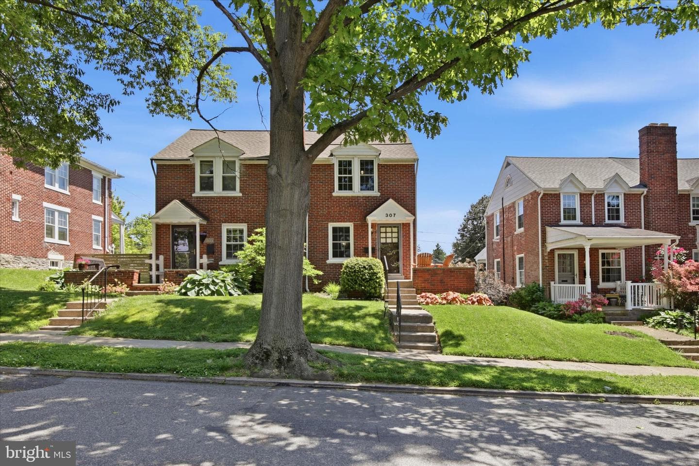 307 Atkins Avenue photo 4
