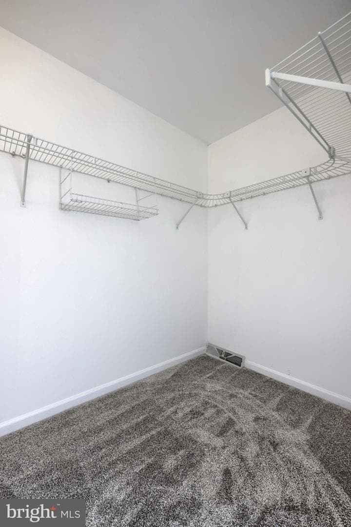 805 Tanglegate Place photo 19