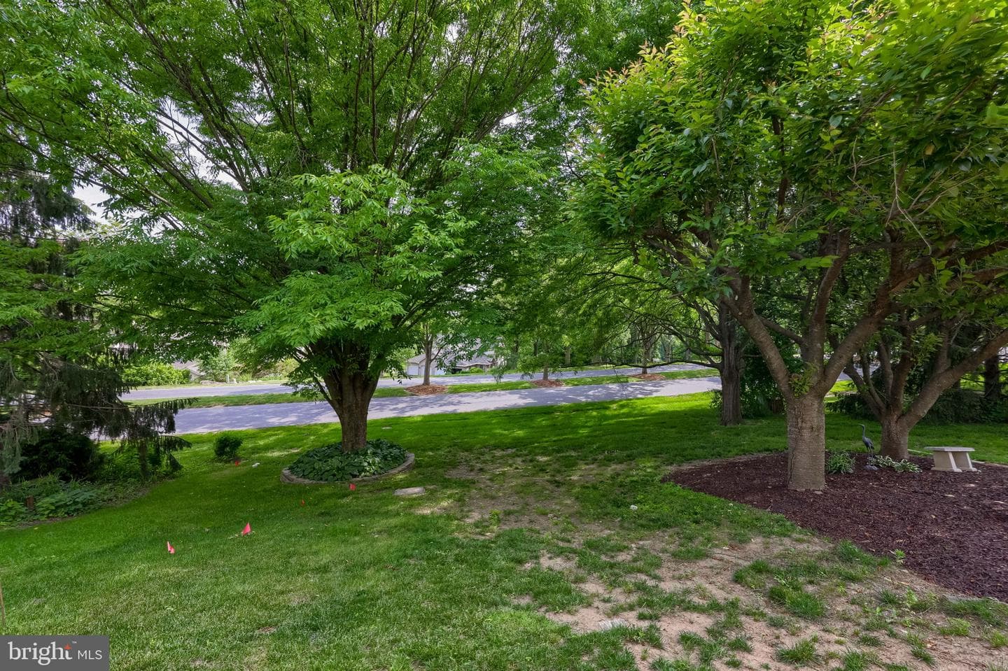 805 Tanglegate Place photo 30