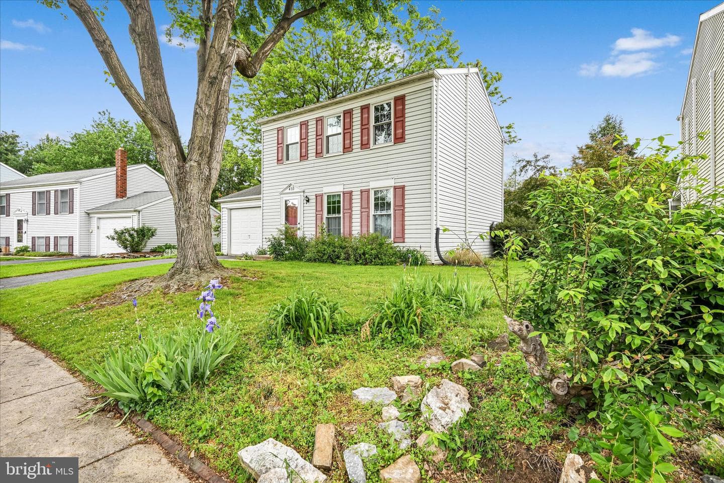 433 Springfield Court photo 30